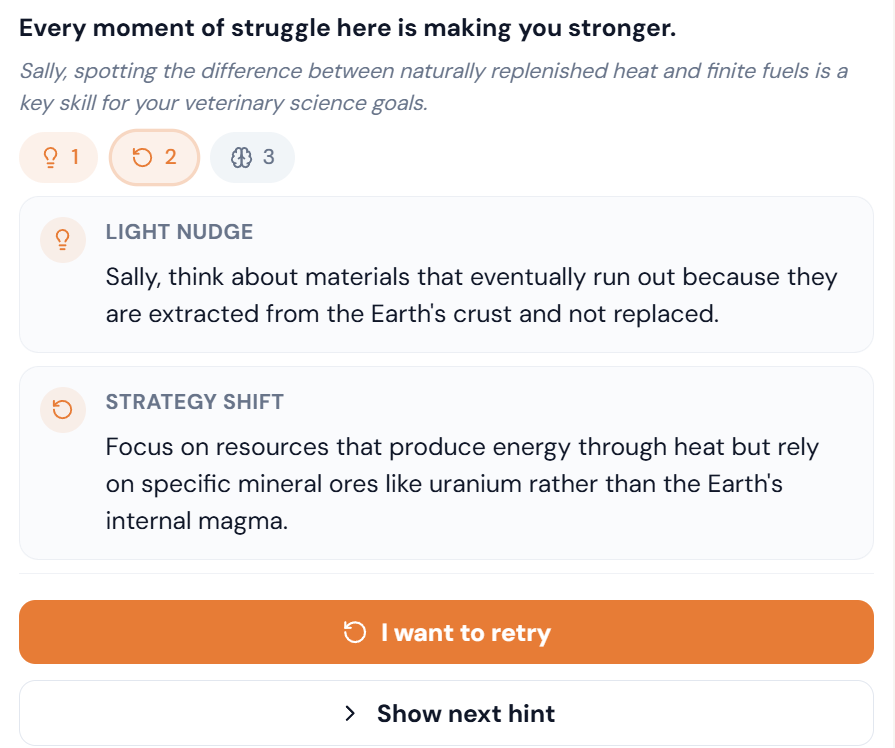 SideCog lesson showing a light nudge, a strategy shift, and the retry and next hint buttons